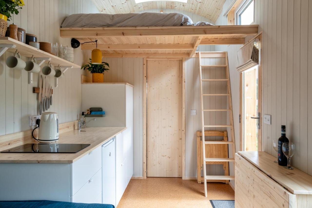 Enchanting Tiny House With Wood Burner And Hot Tub In Cairngorms بالاتر المظهر الخارجي الصورة